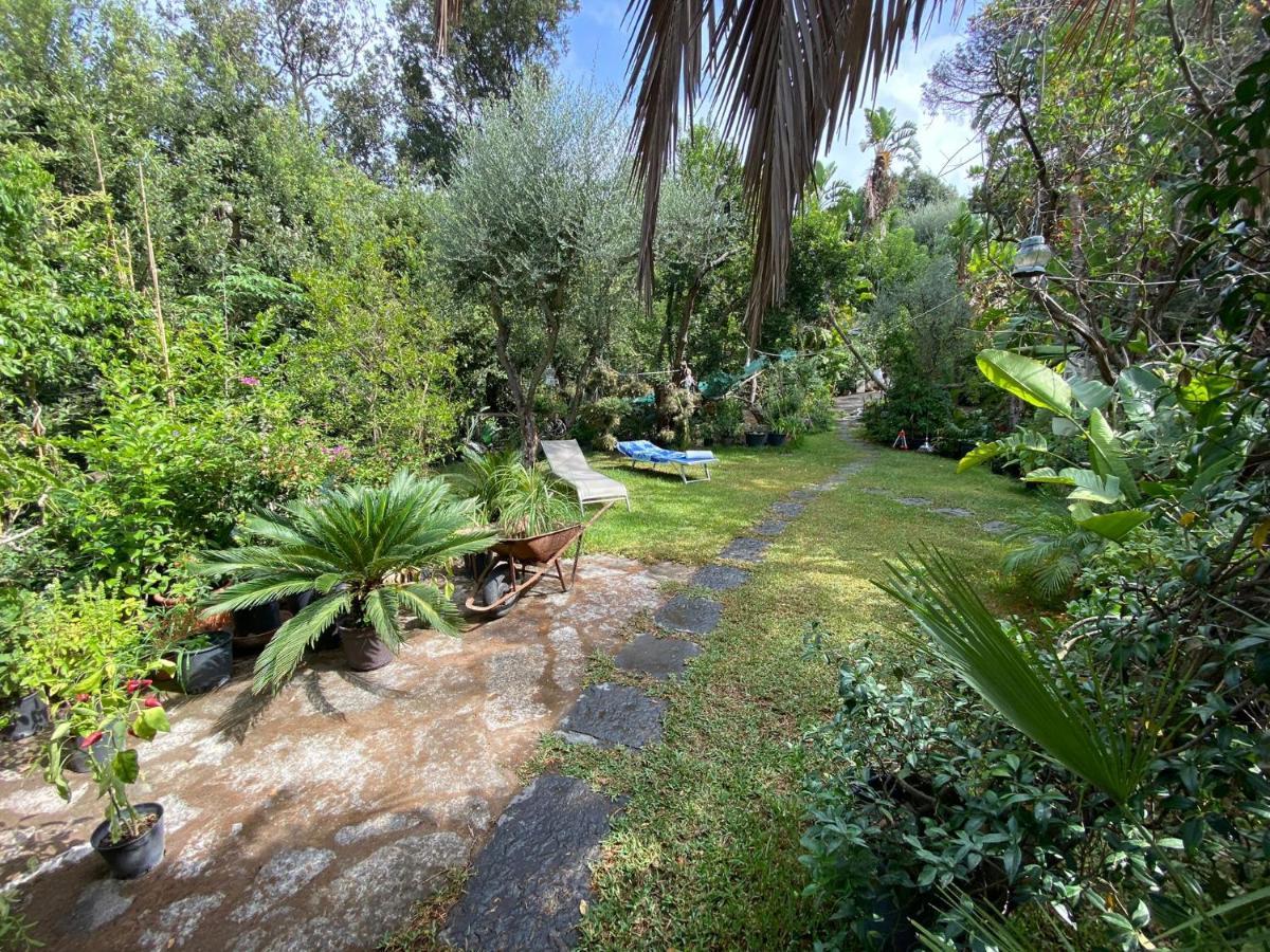 Le Dimore Di Zaro - Green Paradise Forio  Exterior photo
