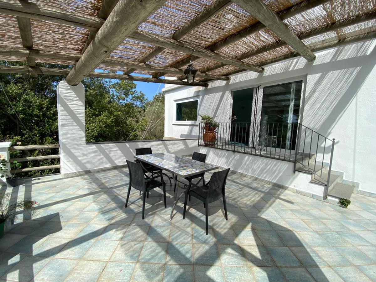 Le Dimore Di Zaro - Green Paradise Forio  Exterior photo