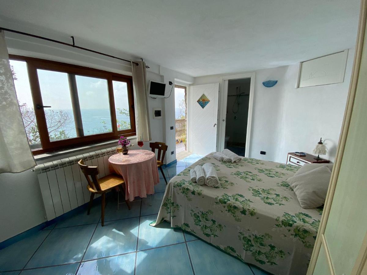 Le Dimore Di Zaro - Green Paradise Forio  Exterior photo