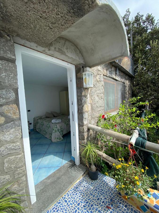 Le Dimore Di Zaro - Green Paradise Forio  Exterior photo