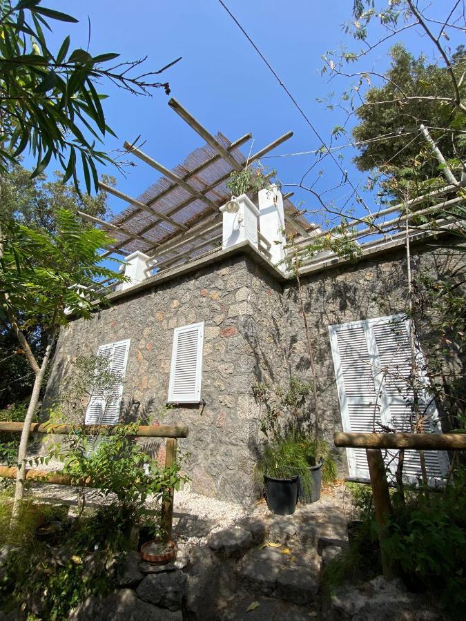 Le Dimore Di Zaro - Green Paradise Forio  Exterior photo