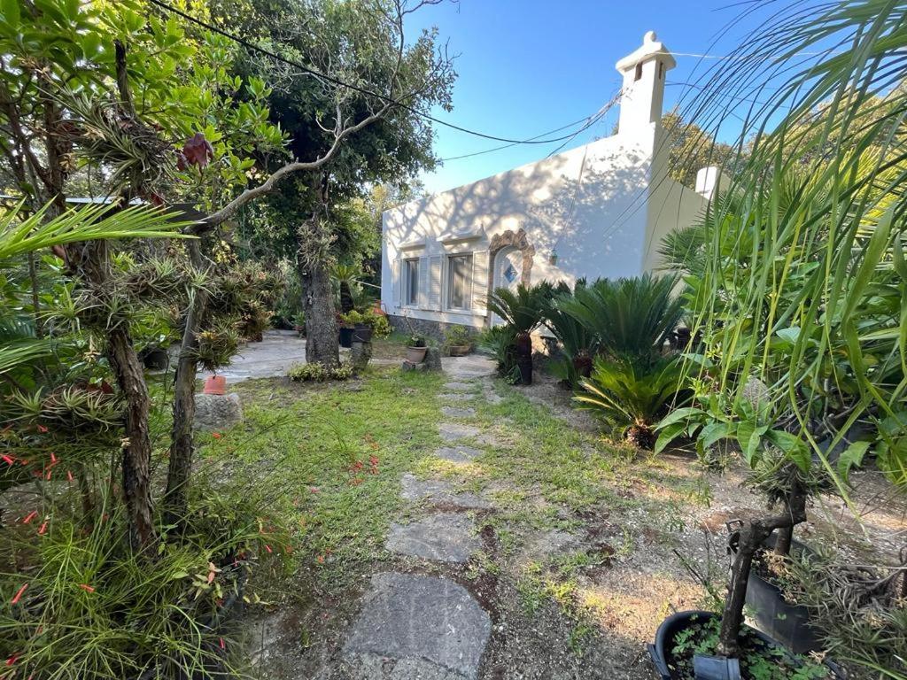 Le Dimore Di Zaro - Green Paradise Forio  Exterior photo