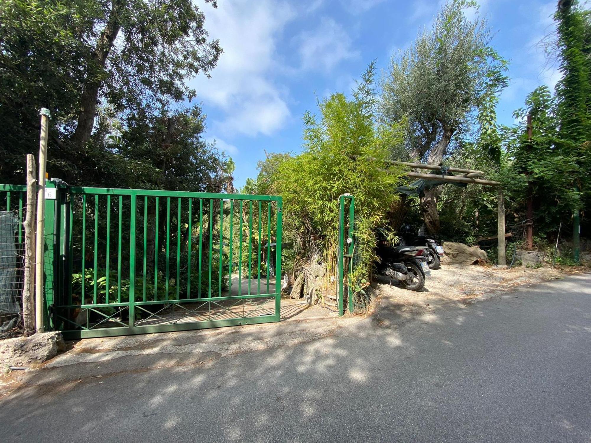 Le Dimore Di Zaro - Green Paradise Forio  Room photo